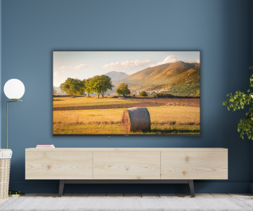 Altus Google TV